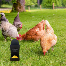 Oyster Shell & Grit Feeder for Chickens – Metal Hanging Poultry Feeder, Auto-Dispensing, Heavy Duty, Compatible with Coops