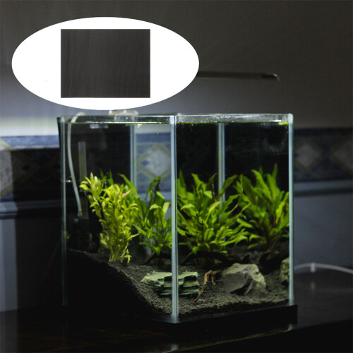 Fond Aquarium Coton Noir Résistant À L'usure 2