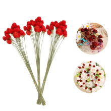 Dry Flower Bundles,Dried Amaranth Flower for Home Decor with Wheat Straw,Portable Floral Arrangement for Home Office Party Garden,30Pack,Red