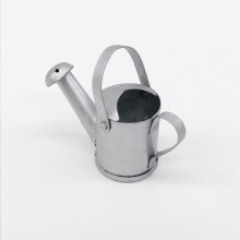 Metal Mini Adornment Watering Can 1Set Small Outdoor Gardening Tool in Silver 2.2x5.5x4.5in for Collectors