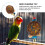 Parrot Chewing Toy Multi 1 Set 3.7x9.1in 5