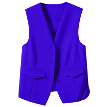 Lightweight Vests for Women Women's Autumn and Winter Vest Small Waistcoat Suit Waistcoat Vest Womens Plus Size Vest (Blue,XXL)