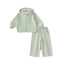 Ensemble de survêtement 2 pièces pour petits garçons : sweat à capuche zippé et pantalon de jogging, vert, 3-4 ans