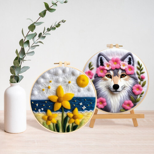Κιτ εκκίνησης για τσόχα με βελόνα DIY, πακέτο υλικών ζωγραφικής από τσόχα μαλλιού 1