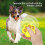 Pet Bouncing Ball Waterproof Remote-Controlled USB 6