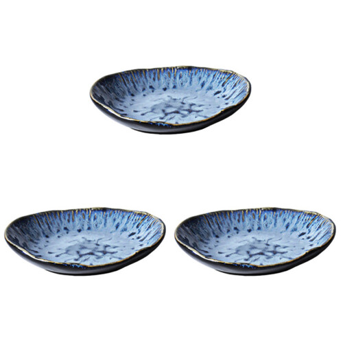 3Pcs Ceramic Multi Steak Sushi Plates for Home and Restaurant 2