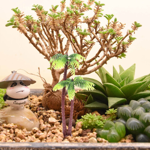 Alberi di cocco verdi per micro paesaggi e acquari (24 pezzi) 1