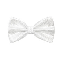 Men Women Big Bow Tie Pre Tie Wedding Party Business Solid Color Bowtie Formal