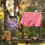 Sac de rangement pour pinces à linge papillon, robuste et suspendu, grand format 3