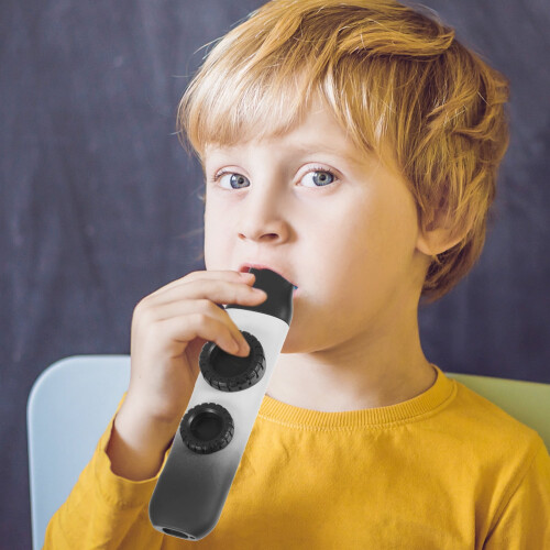 KONTONTY Kazoo reisset voor beginners 2