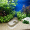 Aquarium pour tortues avec plateforme de bronzage, vert, 100 L 8