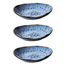 3Pcs Ceramic Multi Steak Sushi Plates for Home and Restaurant