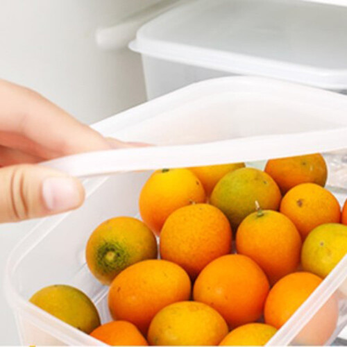 Recipientes plásticos transparentes para alimentos, próprios para micro-ondas e freezer, com tampas. 2
