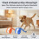 Interactive Ball Toy for Dogs and Cats, Chew-Resistant 2
