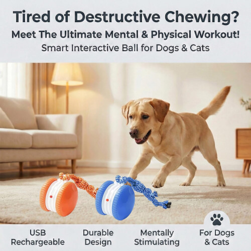 Interactive Ball Toy for Dogs and Cats, Chew-Resistant 1