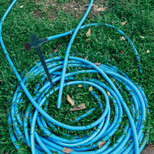 Lot de 10 piquets d'arrosage de jardin en PP vert pour parterre de fleurs extérieur
