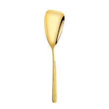 Stainless Steel Serving Spoon, Heavy Duty Restaurant Grade, Ergonomic Handle, Compatible with All Cookware