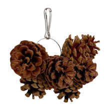 Parrot Chewing Toy Pinecone Wooden for Macaws Cockatoos