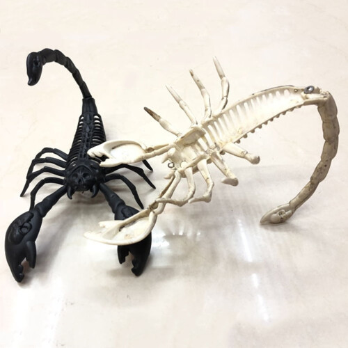 artificial insect Simulation Scorpion Black for Exhibits 1Pcs 1