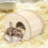 Small Pet Castle Cage Accessories for Hamster Guinea Pig 7