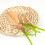 Easter Carrot Decoration Cloth Wall or Window Hanging 1