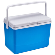 Insulated Cooler, 3L Insulated Portable Cooler with Handle Ice Bucket Leak Proof Outdoor Hard Cooler for Beach, Picnic (Blue)