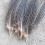Pheasant Tail Craft Material 50 Pieces 2