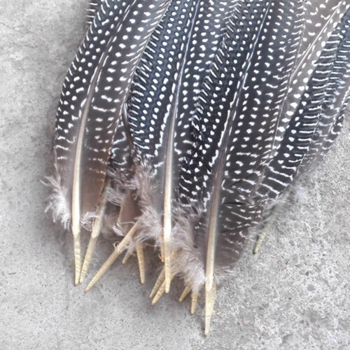 Pheasant Tail Craft Material 50 Pieces 1
