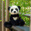 Blommapanda Gosedjur för Barn 21 cm 2