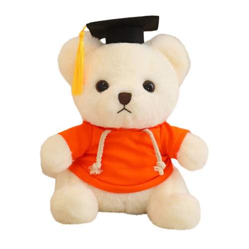 Graduation Bear Doll Soft Plush 23cm 1