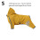 Raincoat With Leash Attachment Full Coverage Rain For Outdoor Walking 3