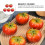 5Pcs Realistic Artificial Tomato Models Fake Tomato Figurines Display Props 2