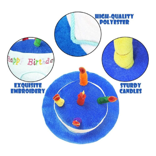 Happy Birthday Plush Hat 2 Pack 2