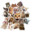Cat Face Stickers Realistic Cute 50-Pack 2