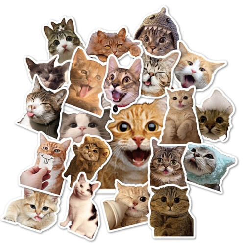 Cat Face Stickers Realistic Cute 50-Pack 1