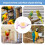 Bird Cage Feeder Bowl with Perch for Cockatoo Conure 7