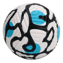 Standard No. 5 PU Training Football