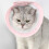 Breathable Ring Mesh Splicing Neck Ring for Cats - Ideal Licking and Biting Solution for Grooming 2