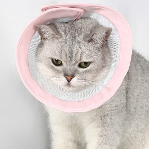 Breathable Ring Mesh Splicing Neck Ring for Cats - Ideal Licking and Biting Solution for Grooming 1