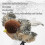 Chirp Paws Flapping Bird Toy for Cats – Rechargeable 6
