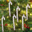 Rote, bruchsichere Weihnachtskugeln, 6 Stück, passend für Weihnachtsbäume 3