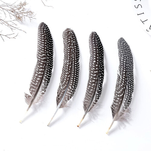 Pheasant Tail Craft Material 50 Pieces