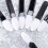 100Pièces Outils Double Embout Pinceaux Yeux Blancs 3