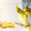 Cockatiel bird perch natural wood exercise platform 1 pack 4