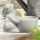 Cute Resin Easter Bunny Boiled Egg Cups – Kitchen Gadget, Tabletop/Dorm Use, Compatible with Easter Decor 5