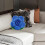 Flower Throw Pillow Cushion with Insert 18x18 Inch 5