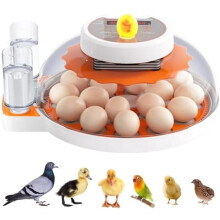 18-Egg Incubator with Auto Turner Dual Trays
