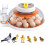 18-Egg Incubator with Auto Turner Dual Trays 1