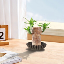 Bol décoratif WZXPWT, centre de table élégant en résine, plat de rangement unique en forme de fleur, organiseur de clés et de maquillage stylé,