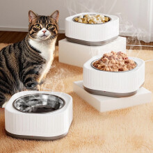 Heated Pet Water Bowl with Temp Control, Thermostatic Anti-Freeze, Food-Grade Plastic for Dogs & Cats, 6.22x2.95in – Compatible with US Outlets